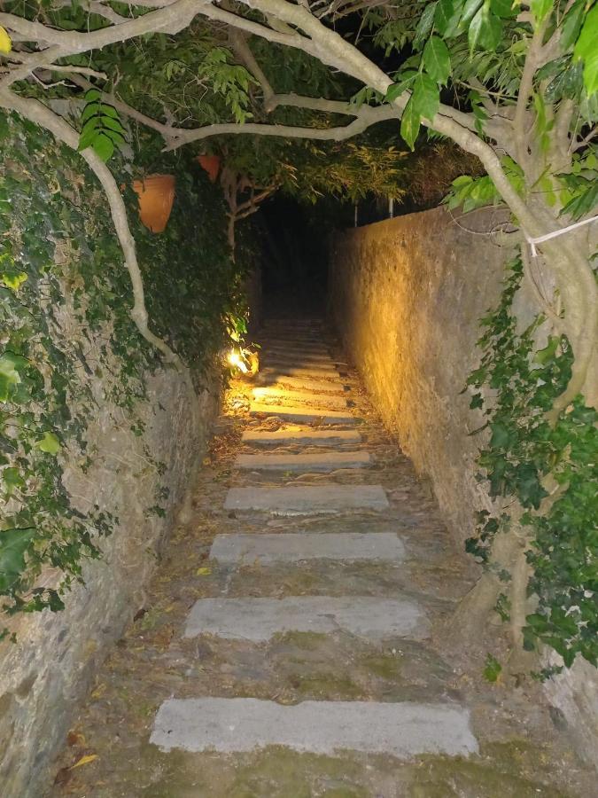 Hotel Casa Vila Palmeira Fermela Esterno foto